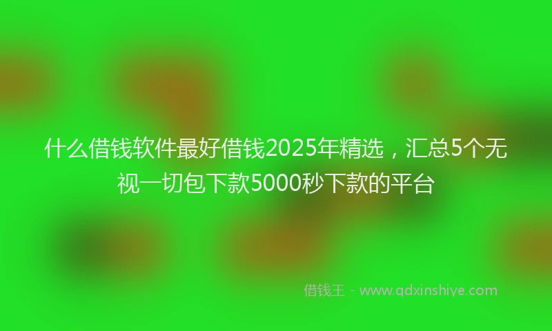 什么借钱软件最好借钱2025年精选，汇总5个无视一切包下款5000秒下款的平台
