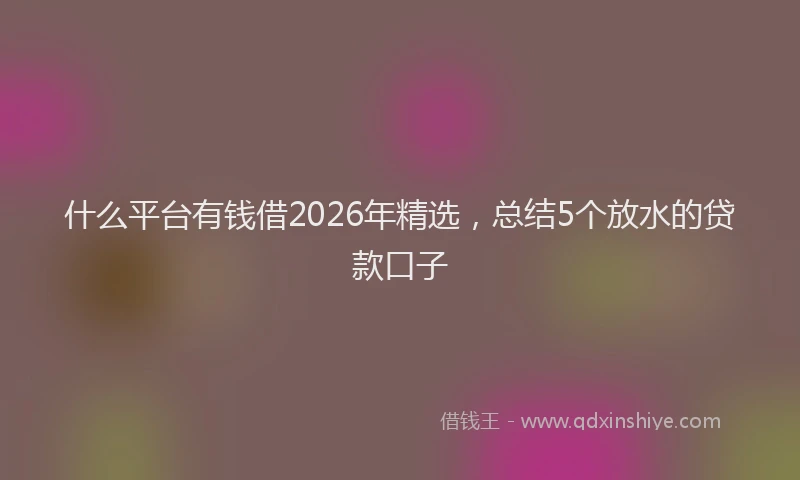 什么平台有钱借2026年精选，总结5个放水的贷款口子