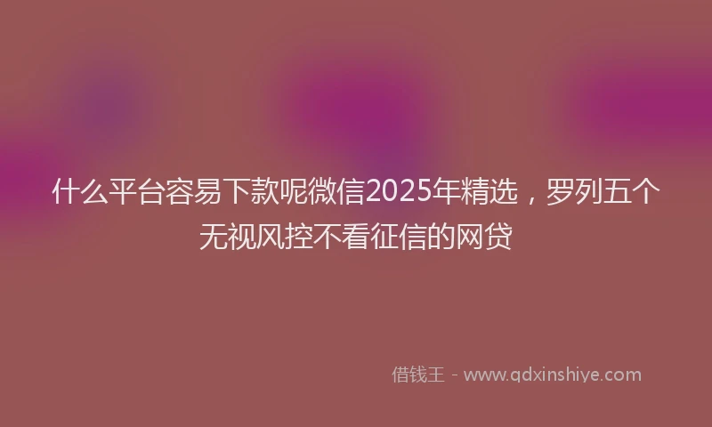 什么平台容易下款呢微信2025年精选，罗列五个无视风控不看征信的网贷