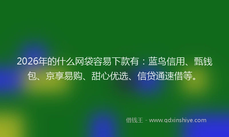 2026年的什么网袋容易下款有：蓝鸟信用、甄钱包、京享易购、甜心优选、信贷通速借等。