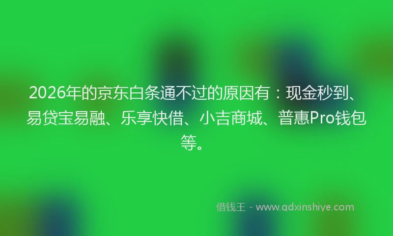 2026年的京东白条通不过的原因有:现金秒到、易贷宝易融、乐享快借、小吉商城、普惠Pro钱包等。