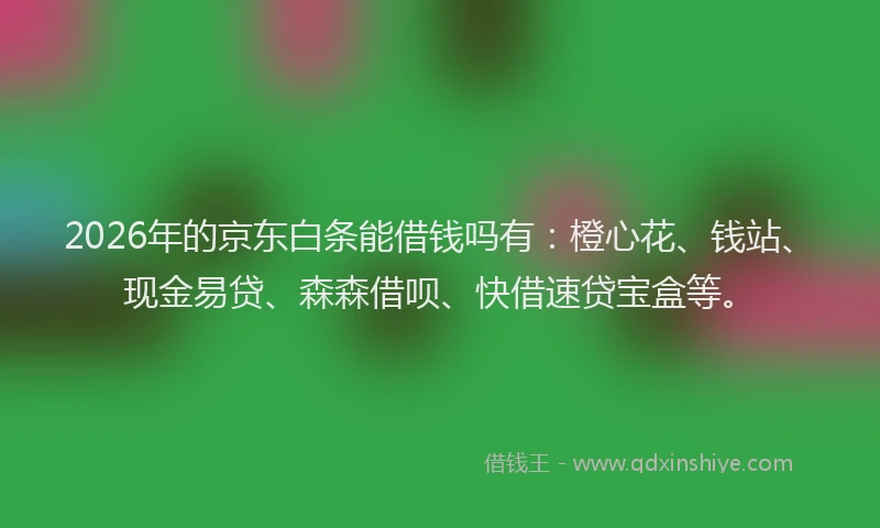 2026年的京东白条能借钱吗有：橙心花、钱站、现金易贷、森森借呗、快借速贷宝盒等。