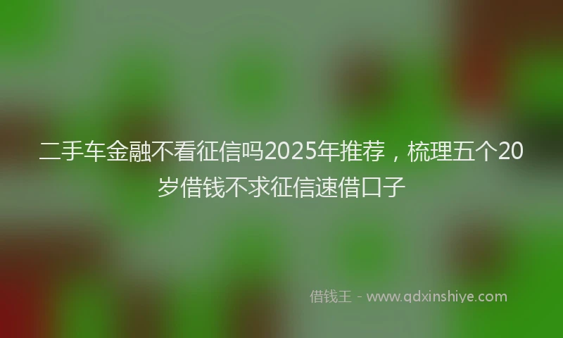 二手车金融不看征信吗2025年推荐，梳理五个20岁借钱不求征信速借口子