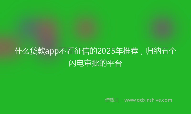 什么贷款app不看征信的2025年推荐，归纳五个闪电审批的平台
