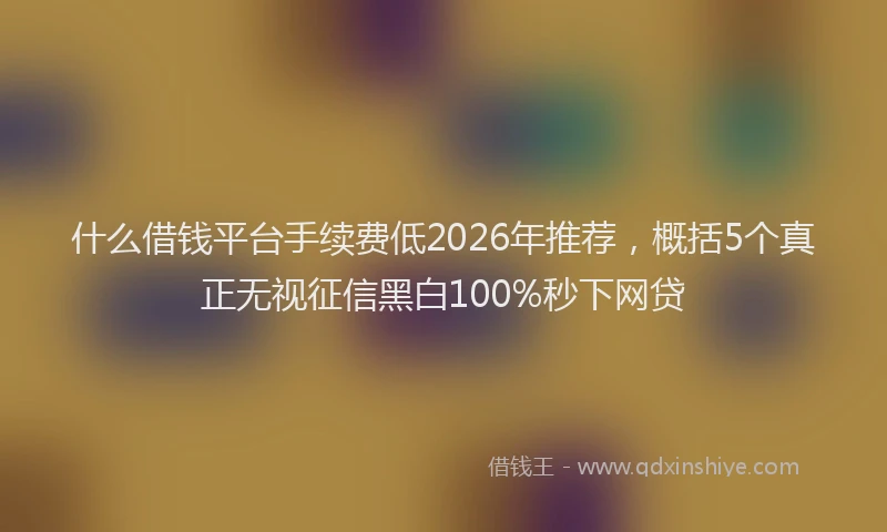 什么借钱平台手续费低2026年推荐，概括5个真正无视征信黑白100%秒下网贷