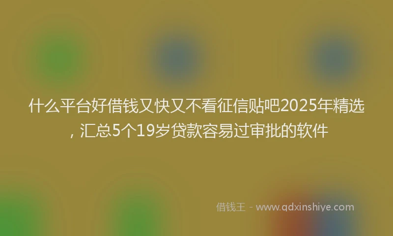 什么平台好借钱又快又不看征信贴吧2025年精选，汇总5个19岁贷款容易过审批的软件