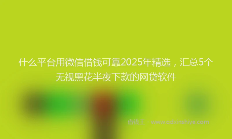 什么平台用微信借钱可靠2025年精选，汇总5个无视黑花半夜下款的网贷软件