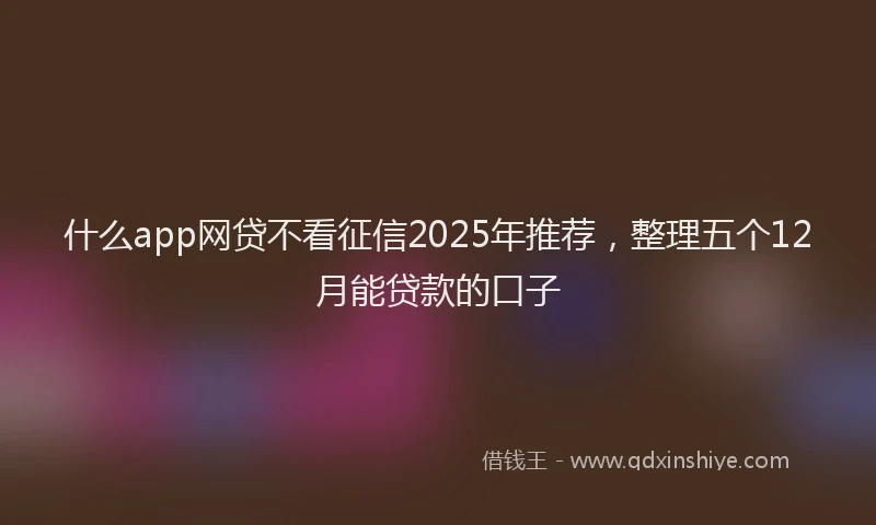 什么app网贷不看征信2025年推荐，整理五个12月能贷款的口子