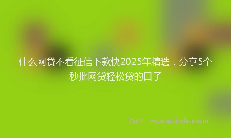 什么网贷不看征信下款快2025年精选，分享5个秒批网贷轻松贷的口子