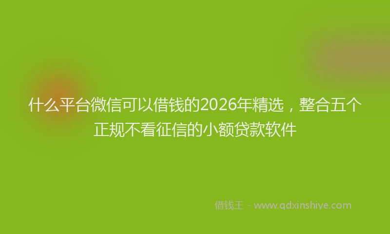 什么平台微信可以借钱的2026年精选，整合五个正规不看征信的小额贷款软件