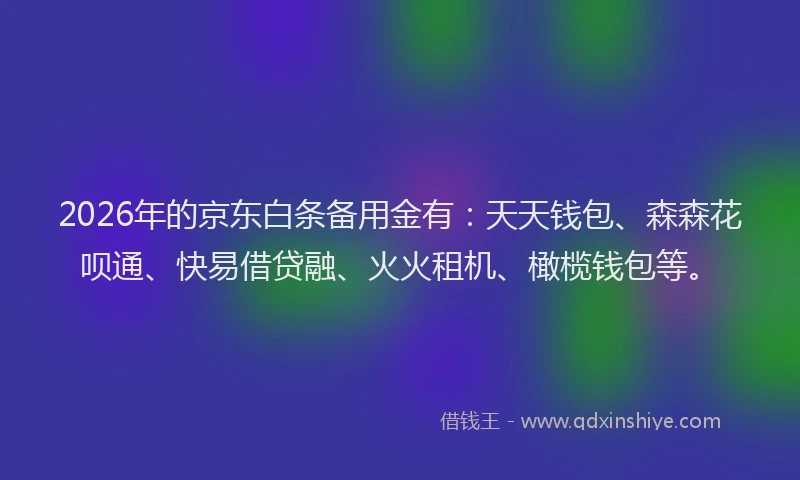 2026年的京东白条备用金有：天天钱包、森森花呗通、快易借贷融、火火租机、橄榄钱包等。