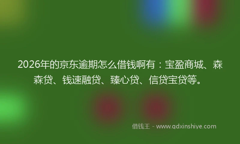 2026年的京东逾期怎么借钱啊有：宝盈商城、森森贷、钱速融贷、臻心贷、信贷宝贷等。