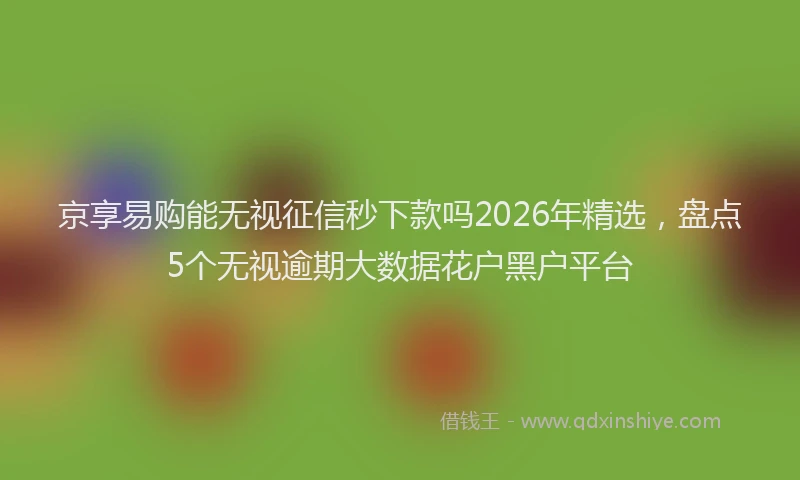京享易购能无视征信秒下款吗2026年精选，盘点5个无视逾期大数据花户黑户平台