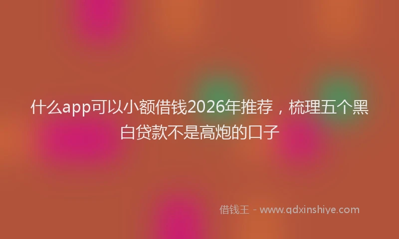什么app可以小额借钱2026年推荐，梳理五个黑白贷款不是高炮的口子