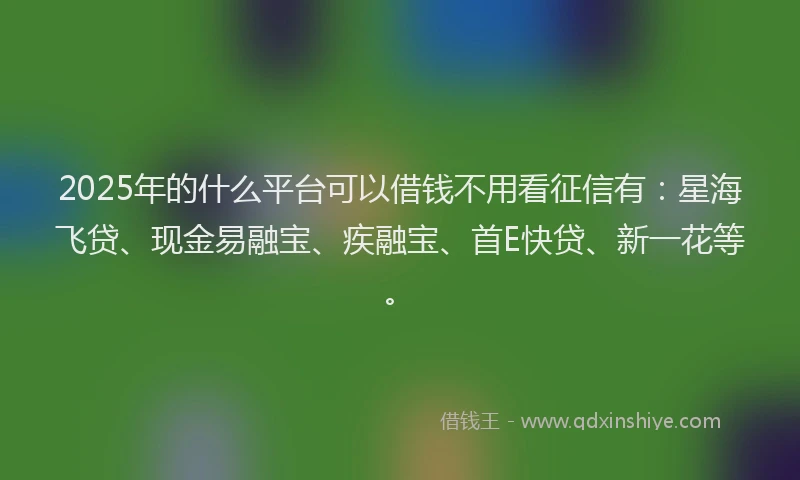 2025年的什么平台可以借钱不用看征信有：星海飞贷、现金易融宝、疾融宝、首E快贷、新一花等。