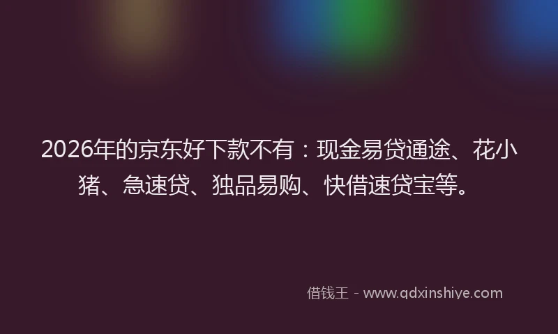 2026年的京东好下款不有:现金易贷通途、花小猪、急速贷、独品易购、快借速贷宝等。