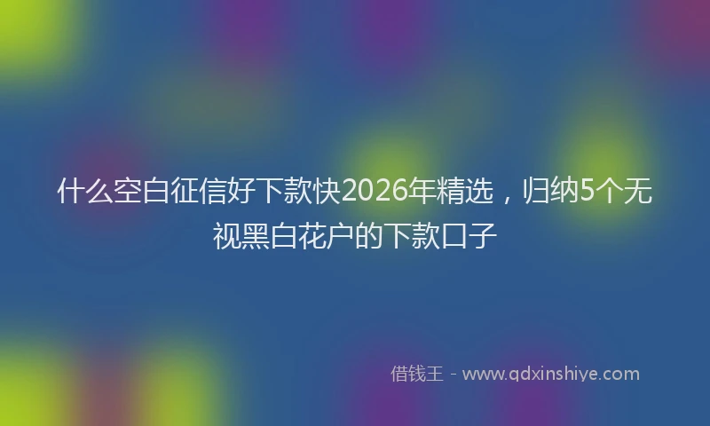 什么空白征信好下款快2026年精选,归纳5个无视黑白花户的下款口子