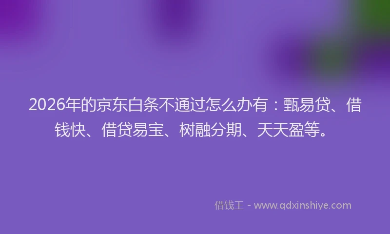 2026年的京东白条不通过怎么办有:甄易贷、借钱快、借贷易宝、树融分期、天天盈等。
