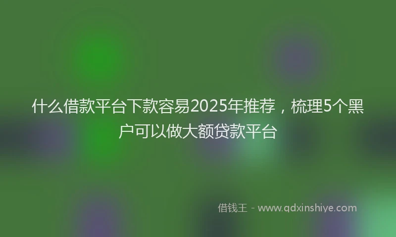什么借款平台下款容易2025年推荐，梳理5个黑户可以做大额贷款平台