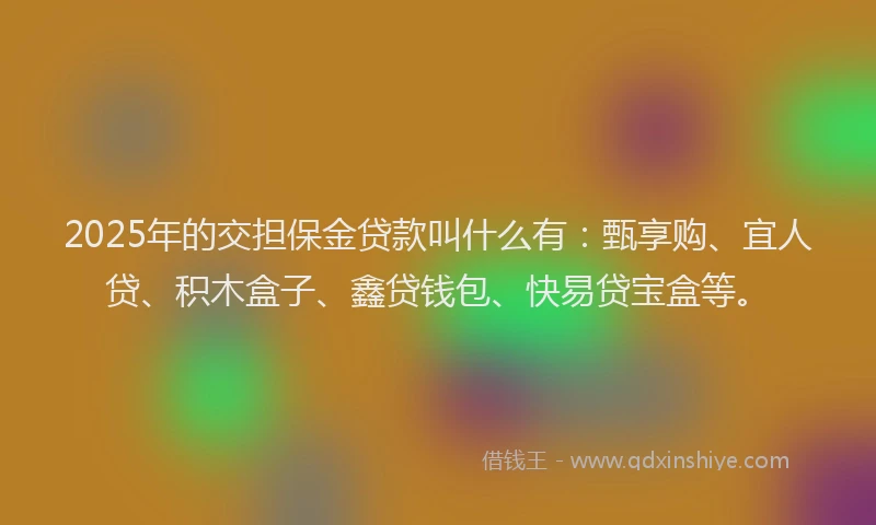 2025年的交担保金贷款叫什么有：甄享购、宜人贷、积木盒子、鑫贷钱包、快易贷宝盒等。