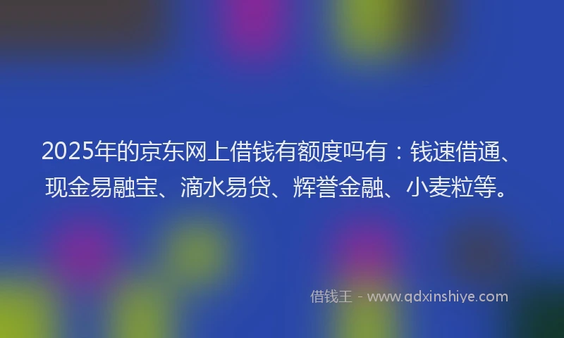2025年的京东网上借钱有额度吗有：钱速借通、现金易融宝、滴水易贷、辉誉金融、小麦粒等。