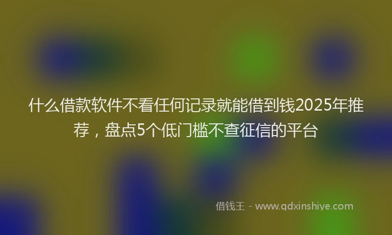 什么借款软件不看任何记录就能借到钱2025年推荐，盘点5个低门槛不查征信的平台