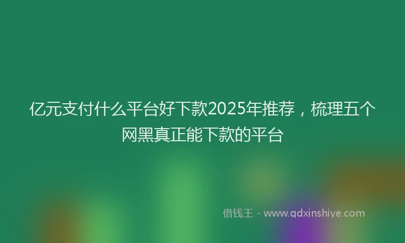 亿元支付什么平台好下款2025年推荐，梳理五个网黑真正能下款的平台