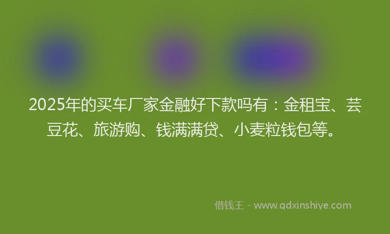 2025年的买车厂家金融好下款吗有：金租宝、芸豆花、旅游购、钱满满贷、小麦粒钱包等。
