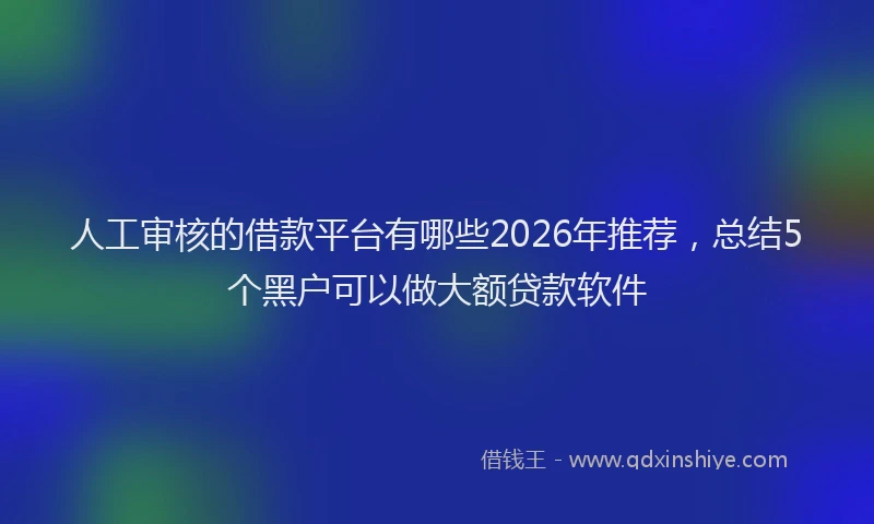 人工审核的借款平台有哪些2026年推荐,总结5个黑户可以做大额贷款软件