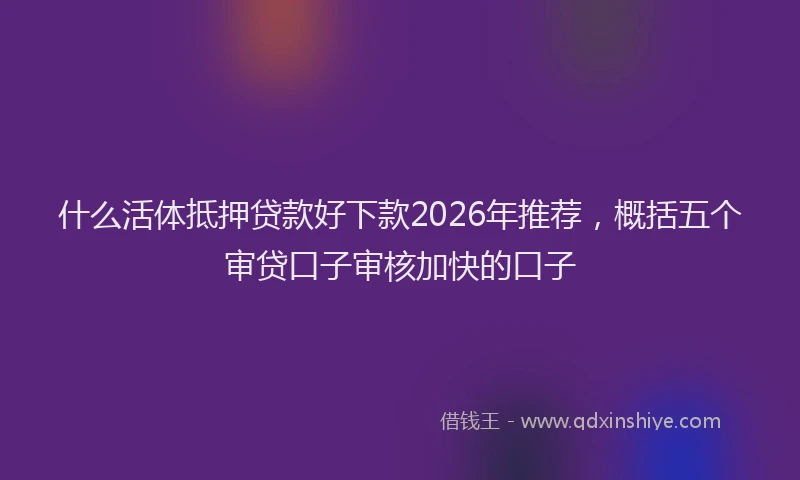 什么活体抵押贷款好下款2026年推荐，概括五个审贷口子审核加快的口子