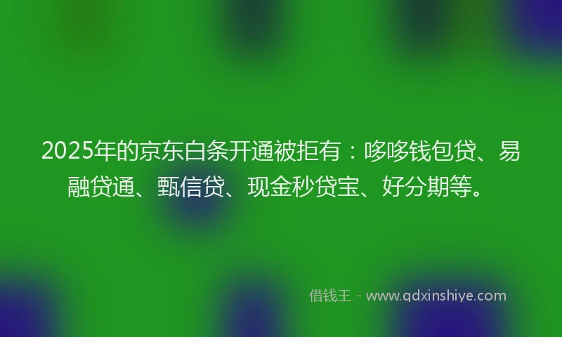 2025年的京东白条开通被拒有:哆哆钱包贷、易融贷通、甄信贷、现金秒贷宝、好分期等。