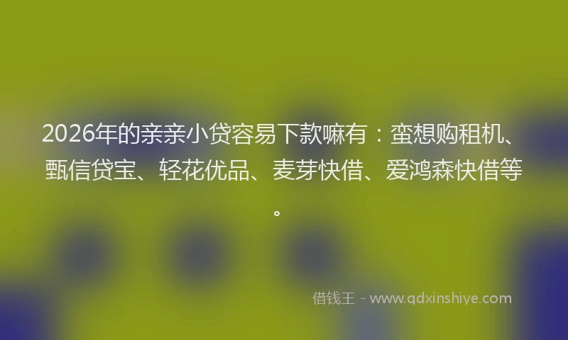 2026年的亲亲小贷容易下款嘛有：蛮想购租机、甄信贷宝、轻花优品、麦芽快借、爱鸿森快借等。