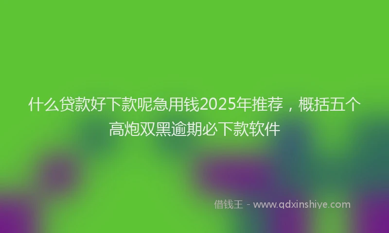 什么贷款好下款呢急用钱2025年推荐,概括五个高炮双黑逾期必下款软件