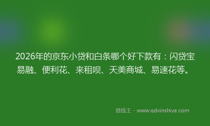 2026年的京东小贷和白条哪个好下款有：闪贷宝易融、便利花、来租呗、天美商城、易速花等。