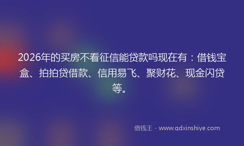 2026年的买房不看征信能贷款吗现在有：借钱宝盒、拍拍贷借款、信用易飞、聚财花、现金闪贷等。