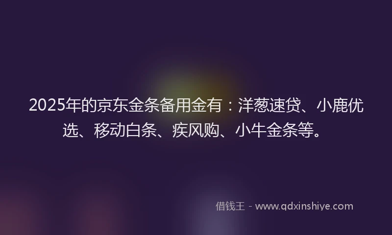 2025年的京东金条备用金有：洋葱速贷、小鹿优选、移动白条、疾风购、小牛金条等。