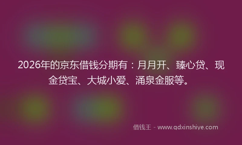 2026年的京东借钱分期有：月月开、臻心贷、现金贷宝、大城小爱、涌泉金服等。