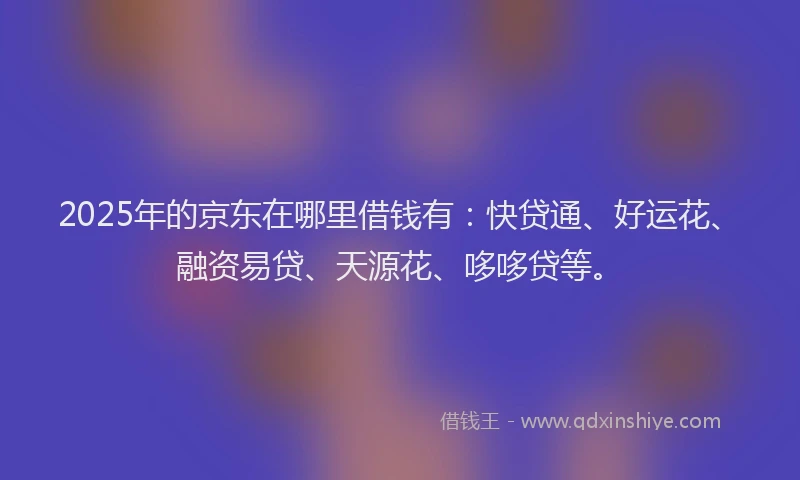 2025年的京东在哪里借钱有：快贷通、好运花、融资易贷、天源花、哆哆贷等。