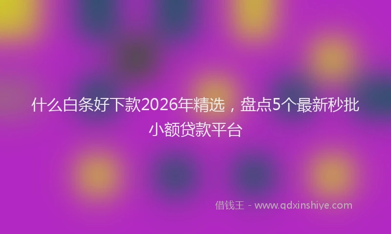 什么白条好下款2026年精选，盘点5个最新秒批小额贷款平台