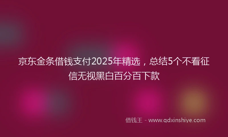 京东金条借钱支付2025年精选，总结5个不看征信无视黑白百分百下款