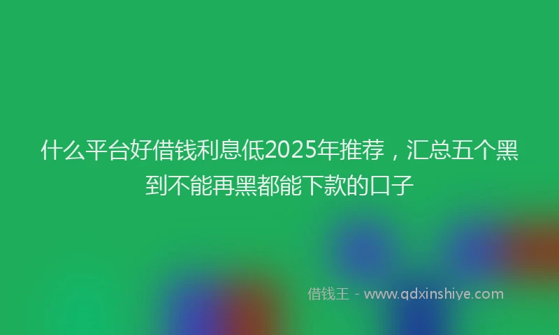 什么平台好借钱利息低2025年推荐，汇总五个黑到不能再黑都能下款的口子