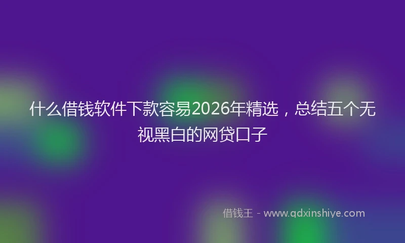 什么借钱软件下款容易2026年精选,总结五个无视黑白的网贷口子