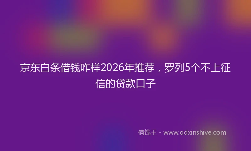 京东白条借钱咋样2026年推荐，罗列5个不上征信的贷款口子
