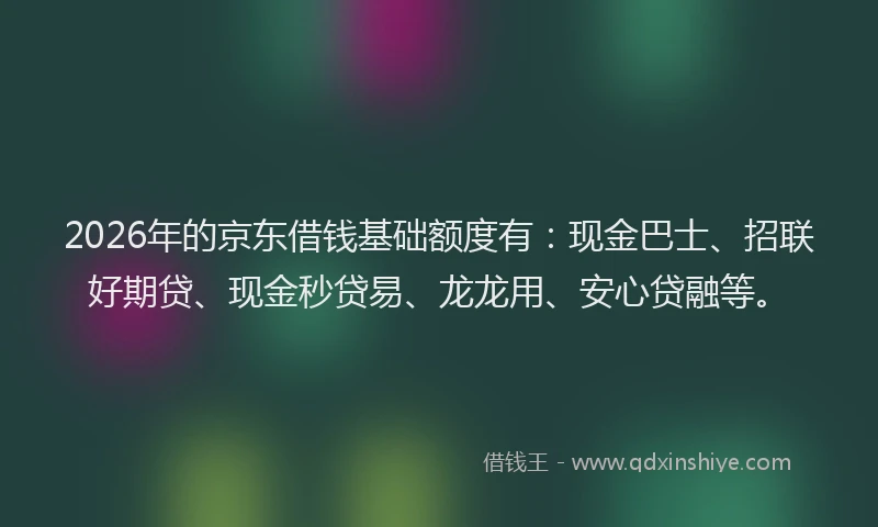 2026年的京东借钱基础额度有：现金巴士、招联好期贷、现金秒贷易、龙龙用、安心贷融等。