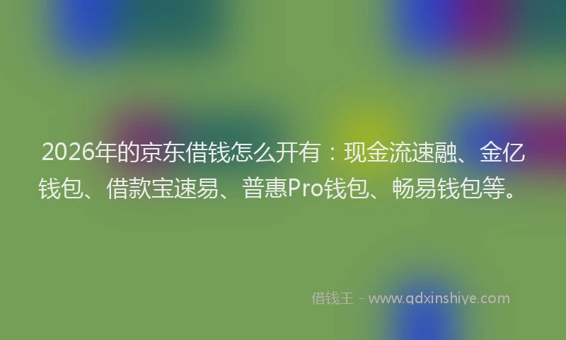 2026年的京东借钱怎么开有：现金流速融、金亿钱包、借款宝速易、普惠Pro钱包、畅易钱包等。