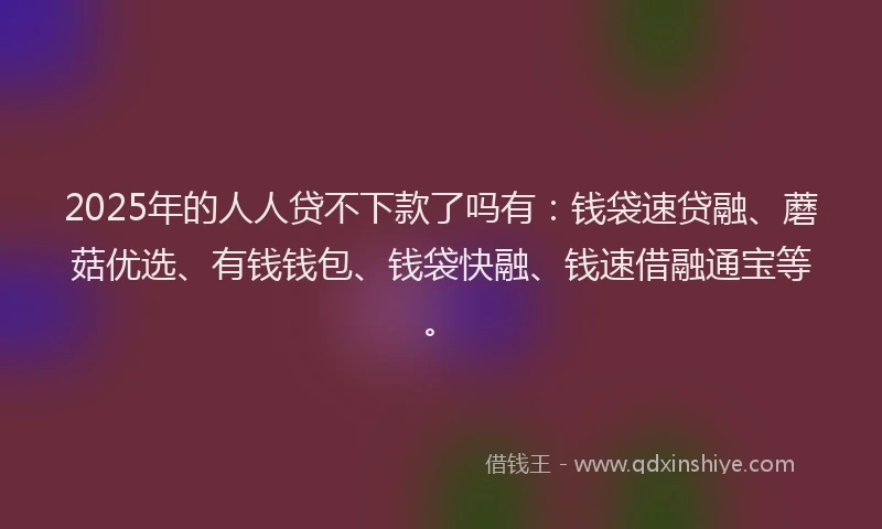 2025年的人人贷不下款了吗有：钱袋速贷融、蘑菇优选、有钱钱包、钱袋快融、钱速借融通宝等。