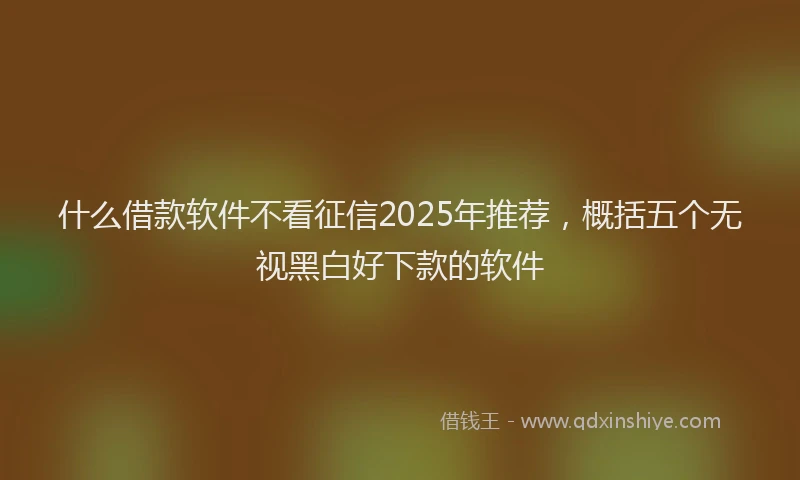 什么借款软件不看征信2025年推荐，概括五个无视黑白好下款的软件