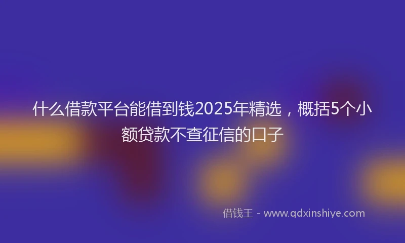 什么借款平台能借到钱2025年精选，概括5个小额贷款不查征信的口子