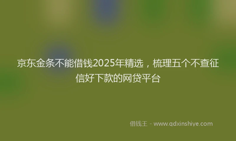 京东金条不能借钱2025年精选，梳理五个不查征信好下款的网贷平台