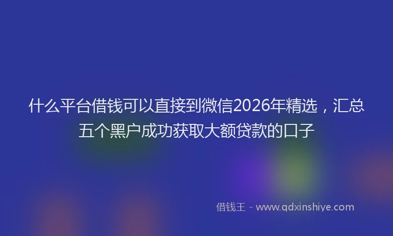什么平台借钱可以直接到微信2026年精选，汇总五个黑户成功获取大额贷款的口子